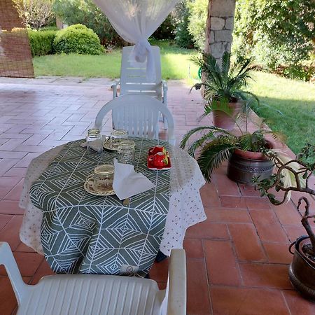 Il Porticato - Affittacamere Paola Extérieur photo
